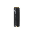 TRANSCEND SSD PCIe 250H 1TB, M.2 2280, PCIe Gen4x4, NVMe, 3D TLC, with Dram(Metal Heatsink)