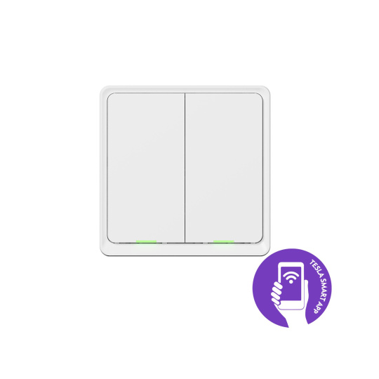 Tesla Smart Switch Dual ZigBee