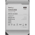 Synology 3,5" HDD HAS5300-12T (NAS) (12TB, SAS, 7200 RPM, 256MB)