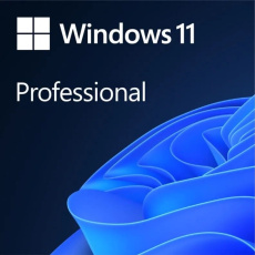 Windows Pro 11 64-BIT ESD